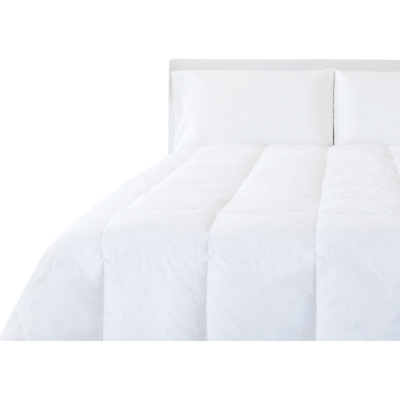 Alwyn Home All Season Down Comforter & Reviews Wayfair